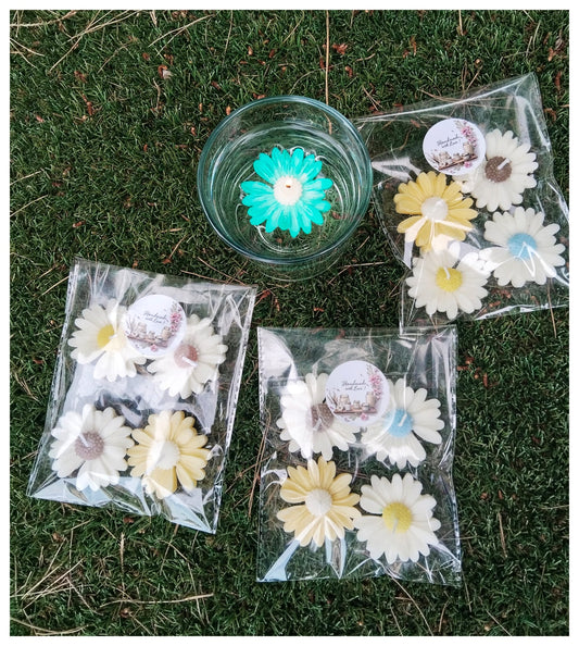 14. Pack «Jardín flotante»