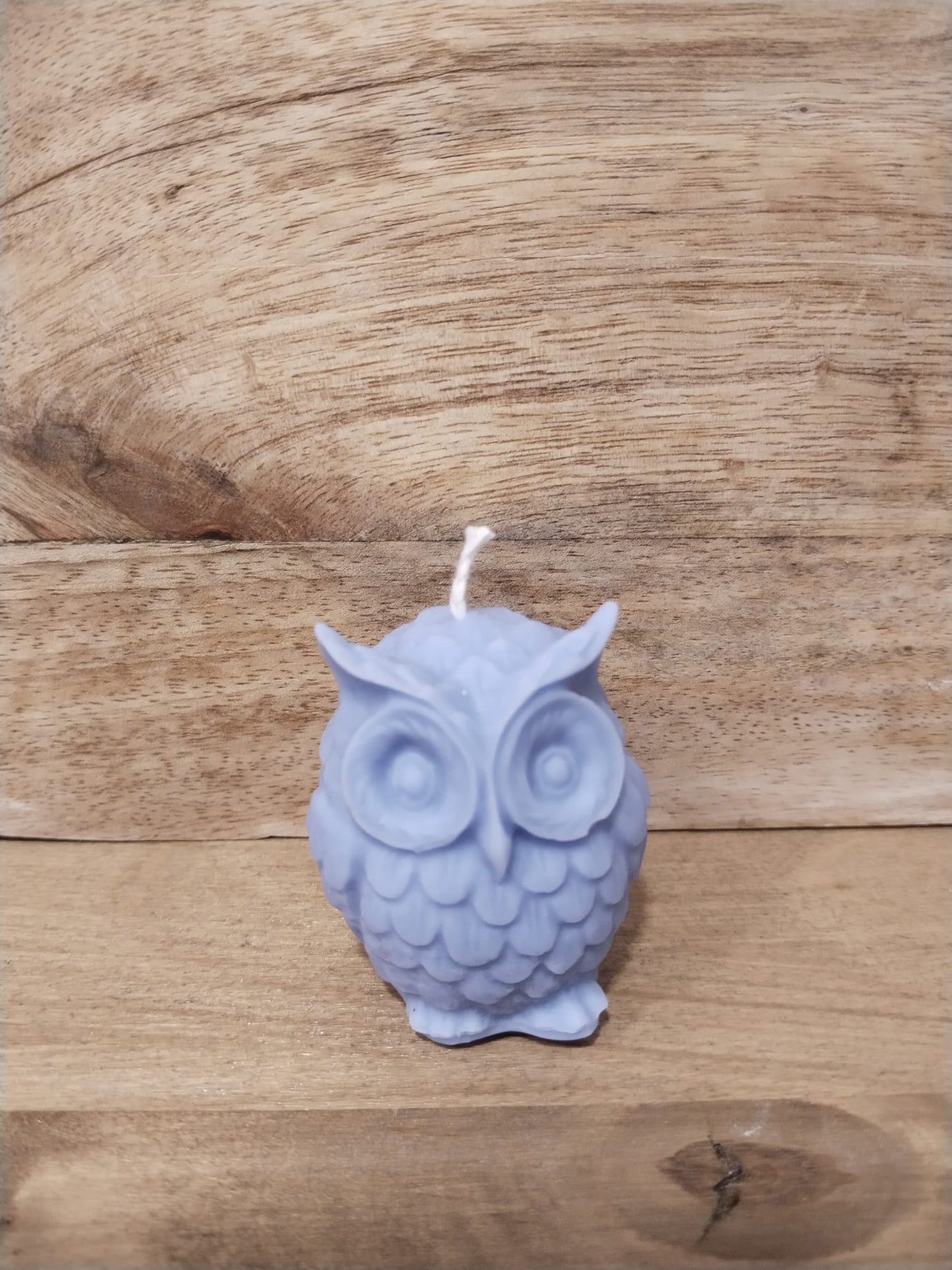 [Instinto natural] Búho azul «Sabiduría serena»