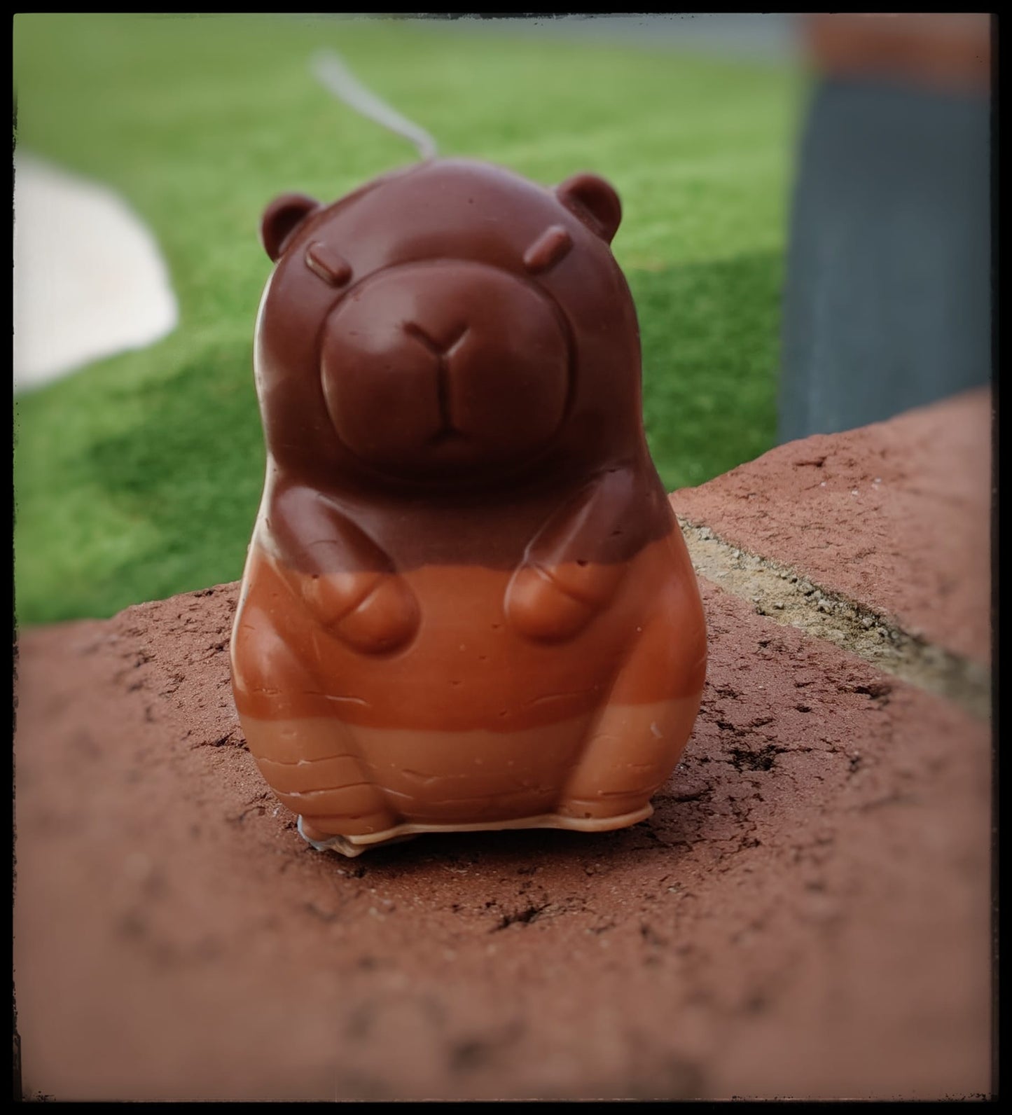 [Instinto natural] Capibara «Dulce calma»