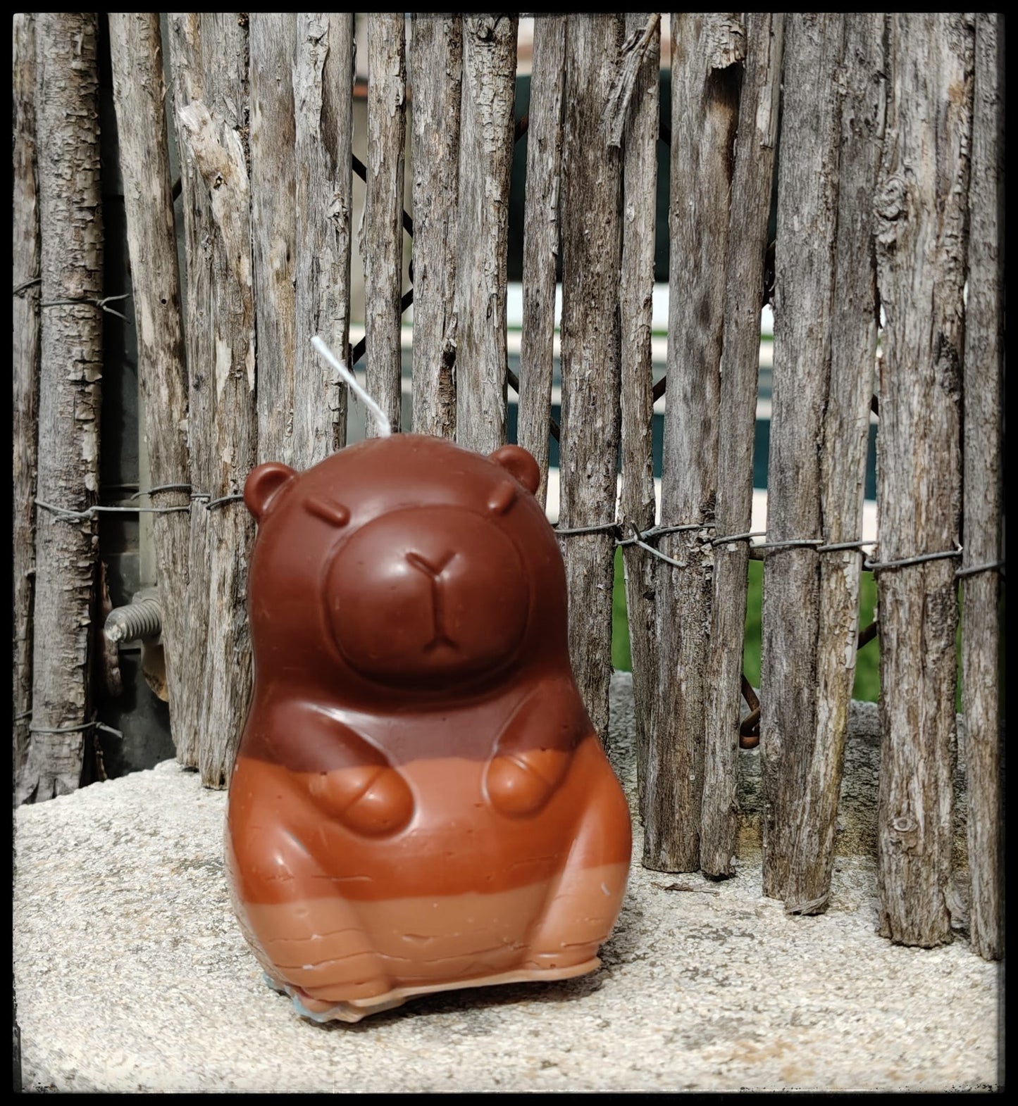 [Instinto natural] Capibara «Dulce calma»