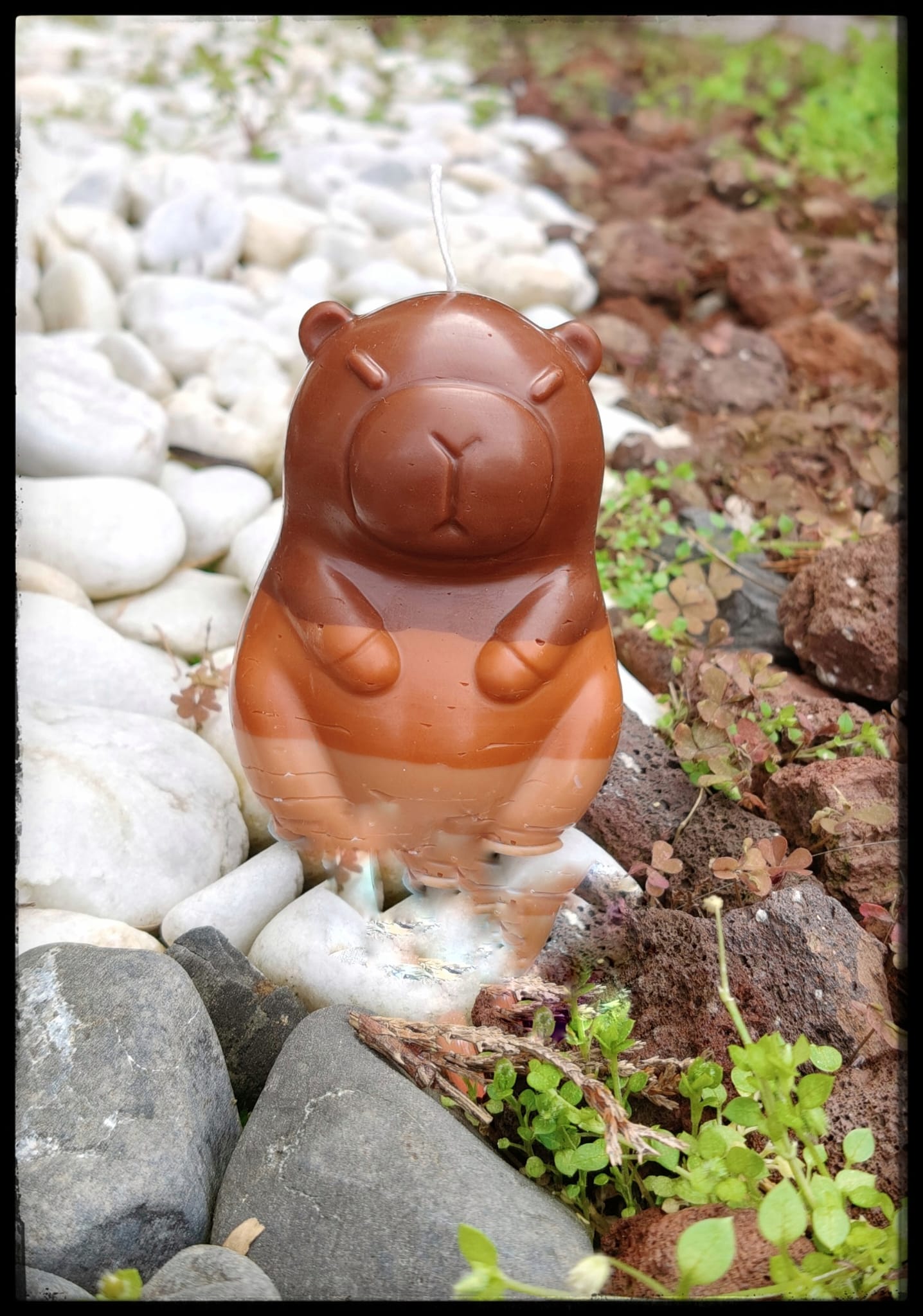 [Instinto natural] Capibara «Dulce calma»