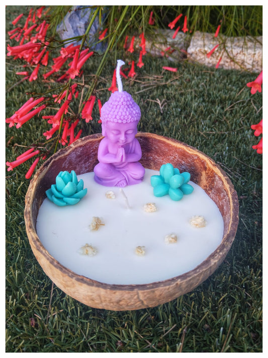 [Naturaleza en Calma] Vela de coco «Jardín Zen»