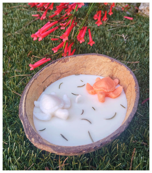 [Naturaleza en Calma] Vela de coco « Tortugas del mar»