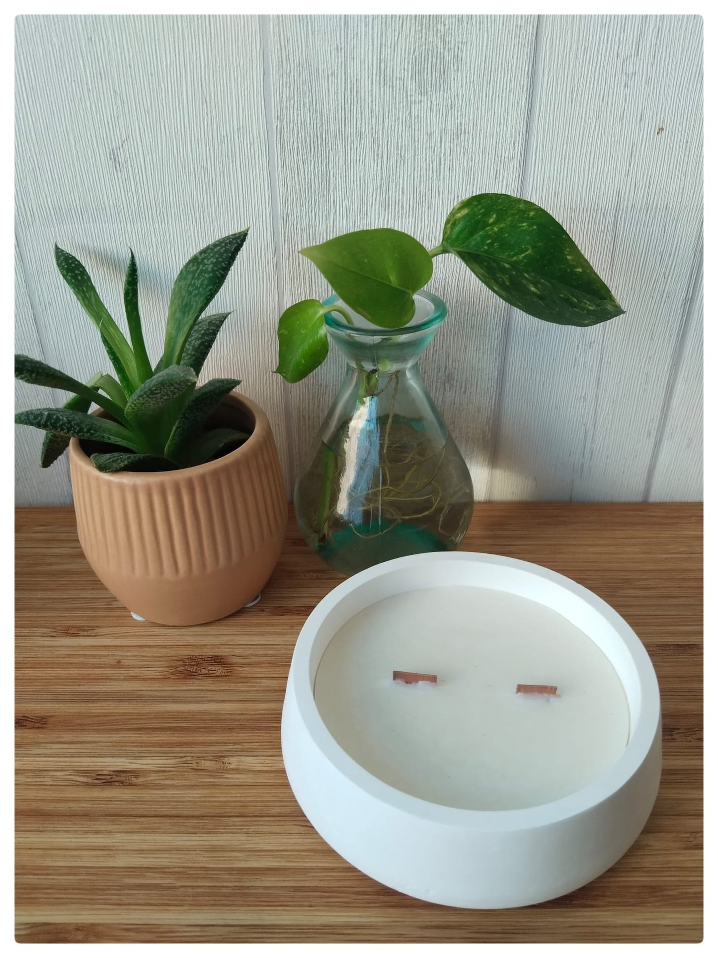 Vela aroma castaña en cuenco de yeso con mechas de madera «Susurro de roble» [Refugio Interior]