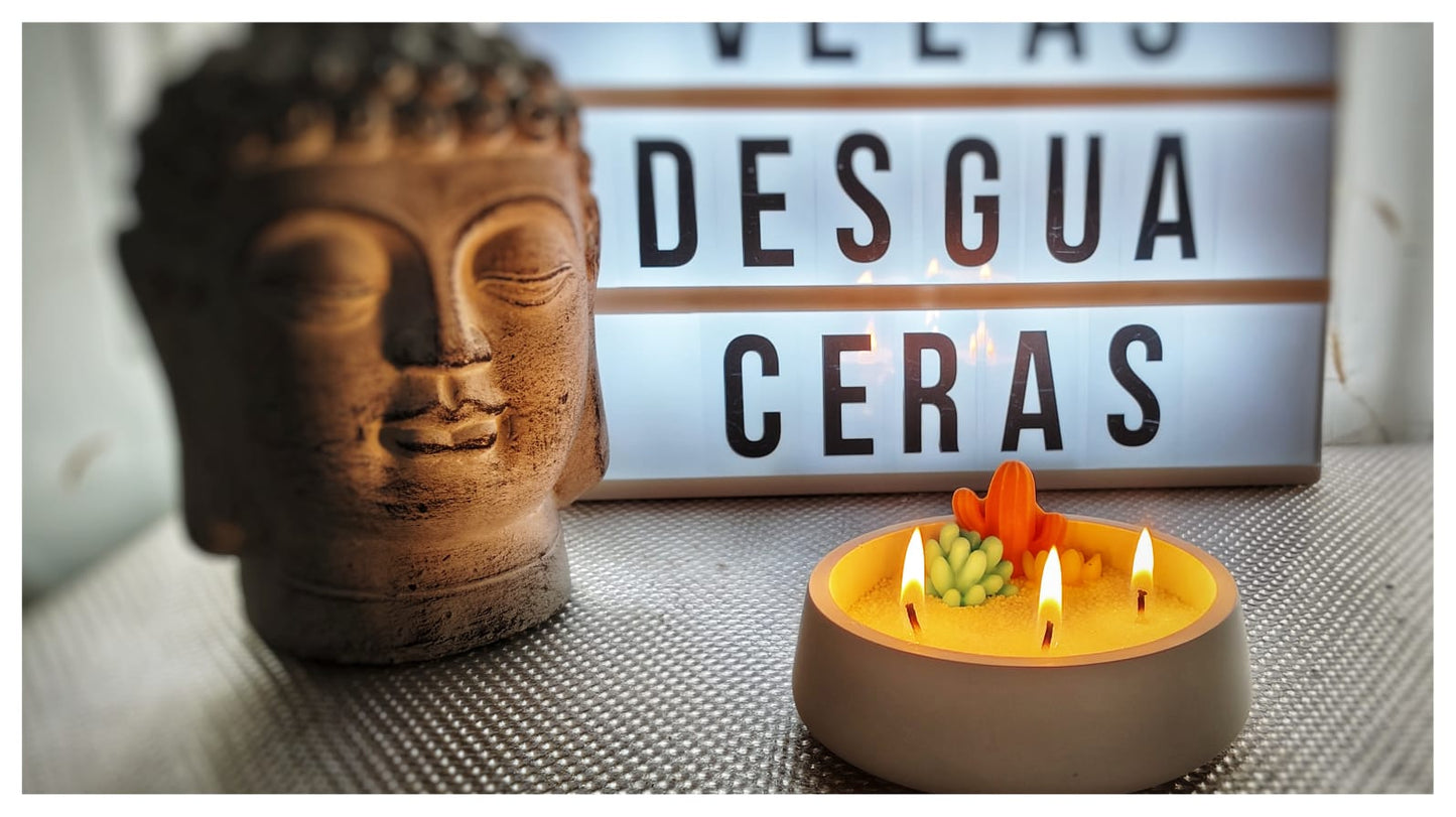 [Crea tu jardín] Oasis de cactus