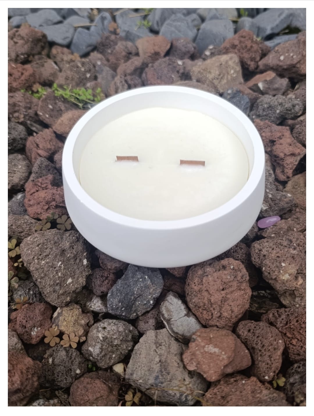 Vela aroma castaña en cuenco de yeso con mechas de madera «Susurro de roble» [Refugio Interior]